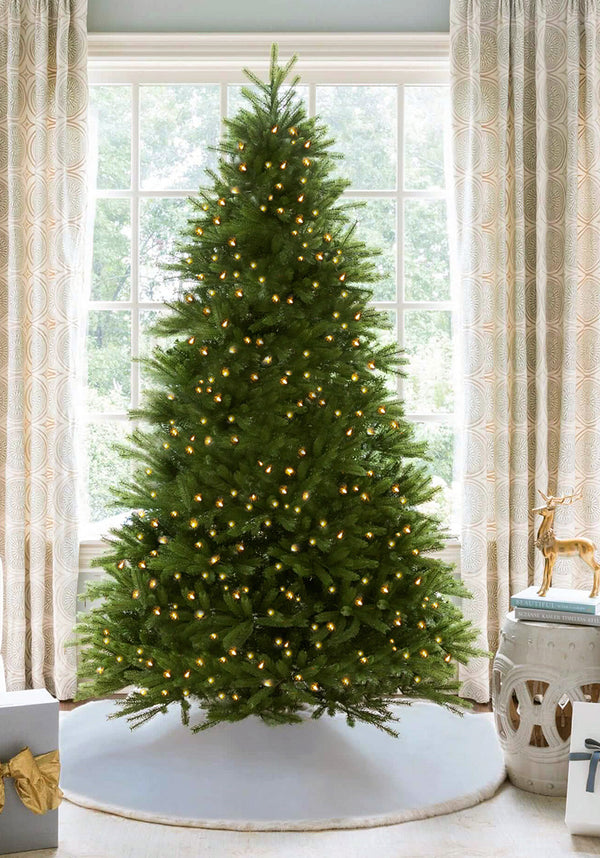 10' King Fraser Fir Artificial Christmas Tree with 1600 Warm White & Multi-Color LED Lights