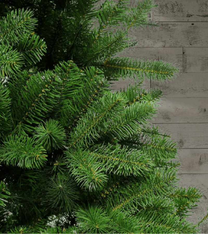 9' King Douglas Fir Slim Artificial Christmas Tree Unlit