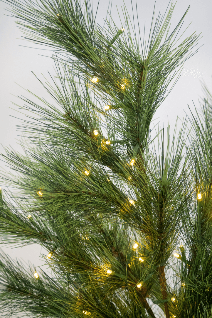 Pine LED Branches (3 Pack)